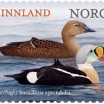 2015-10-25-praktærfugl-frimerke