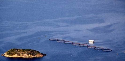 oppdrett nordlaks fiskebøl oppdrettsanlegg