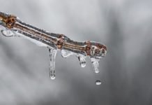 Skal lede internasjonalt klimaarbeid