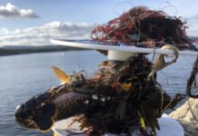 Utrolig tokt: Nå starter jakten på spøkelsesfisket