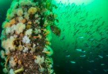 Historisk dom anket til Høyesterett