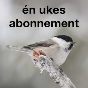 Ukesabonnement