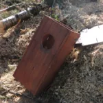 fuglekasse-rammet-hogst-foto-naturvernforbundet-1250