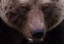 VG: TV-kjendis skal være en av de tiltalte