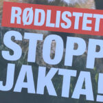 stopp-jakta-foto-tig-1250