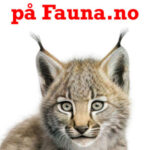 abonner-faunna-300×400