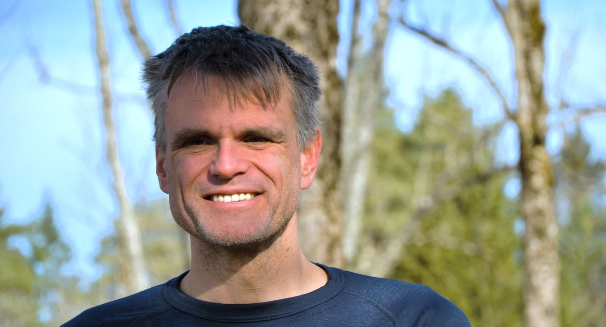 ulv ulveflokk rovdyr