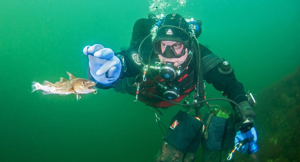 Dette må gjøres for å redde Oslofjorden 1
