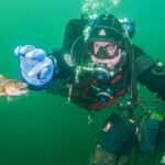 En-liten-torsk-ved-Nesodden-1250