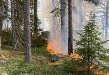 Gran liker ikke å bli svidd på tærne