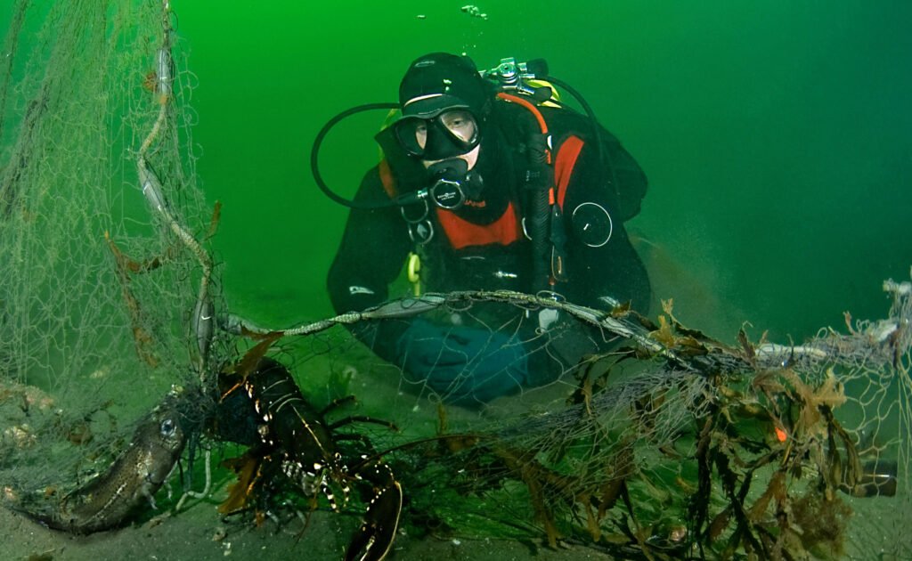 Dette må gjøres for å redde Oslofjorden 2