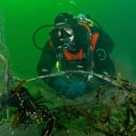 Hummer-og-torsk-i-garn-ved-Nesodden-1250