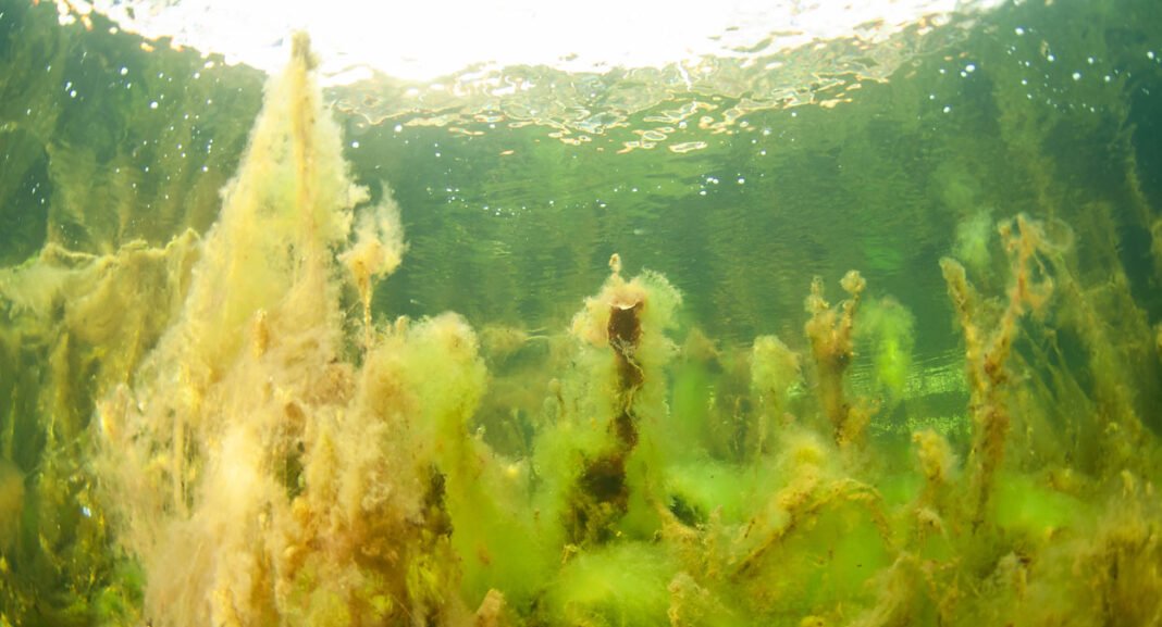 Lurv-ved-Nesodden-1250