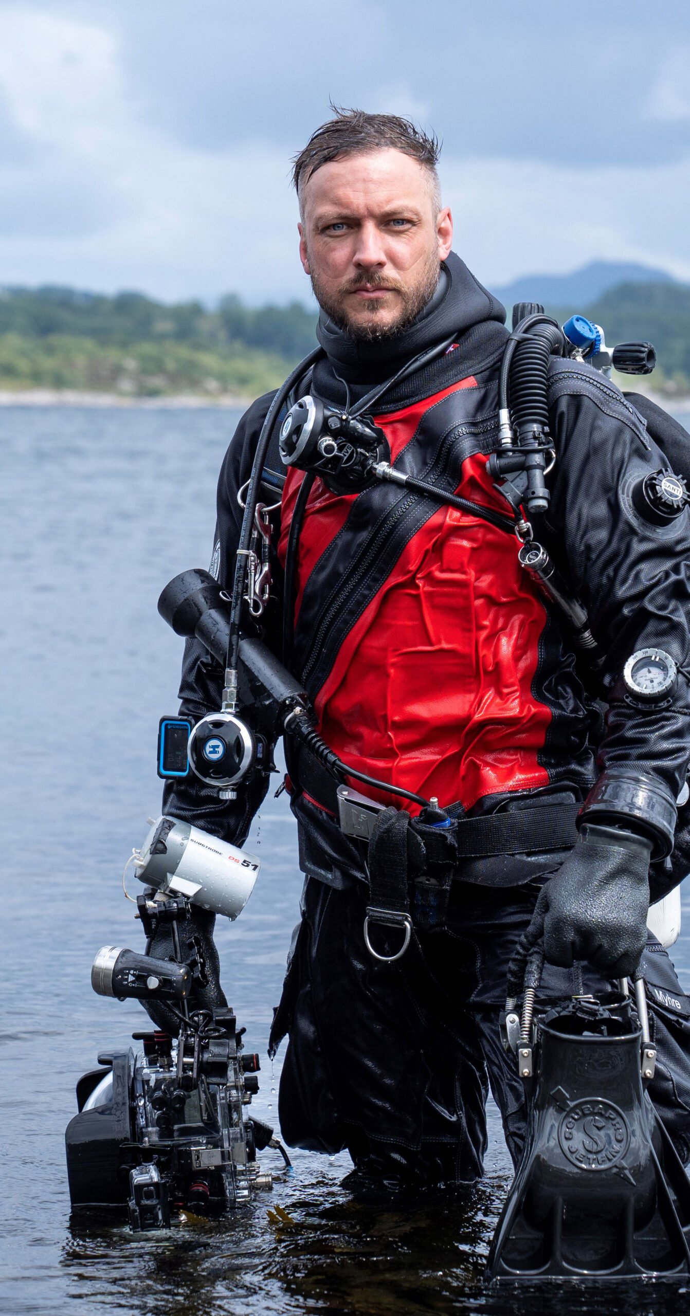 ulv ulveflokk rovdyr