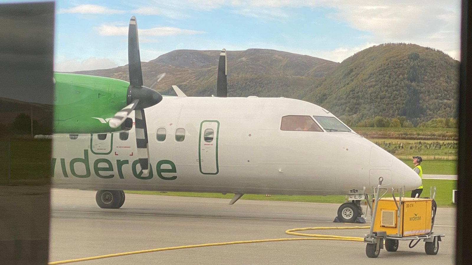 ulv ulveflokk rovdyr