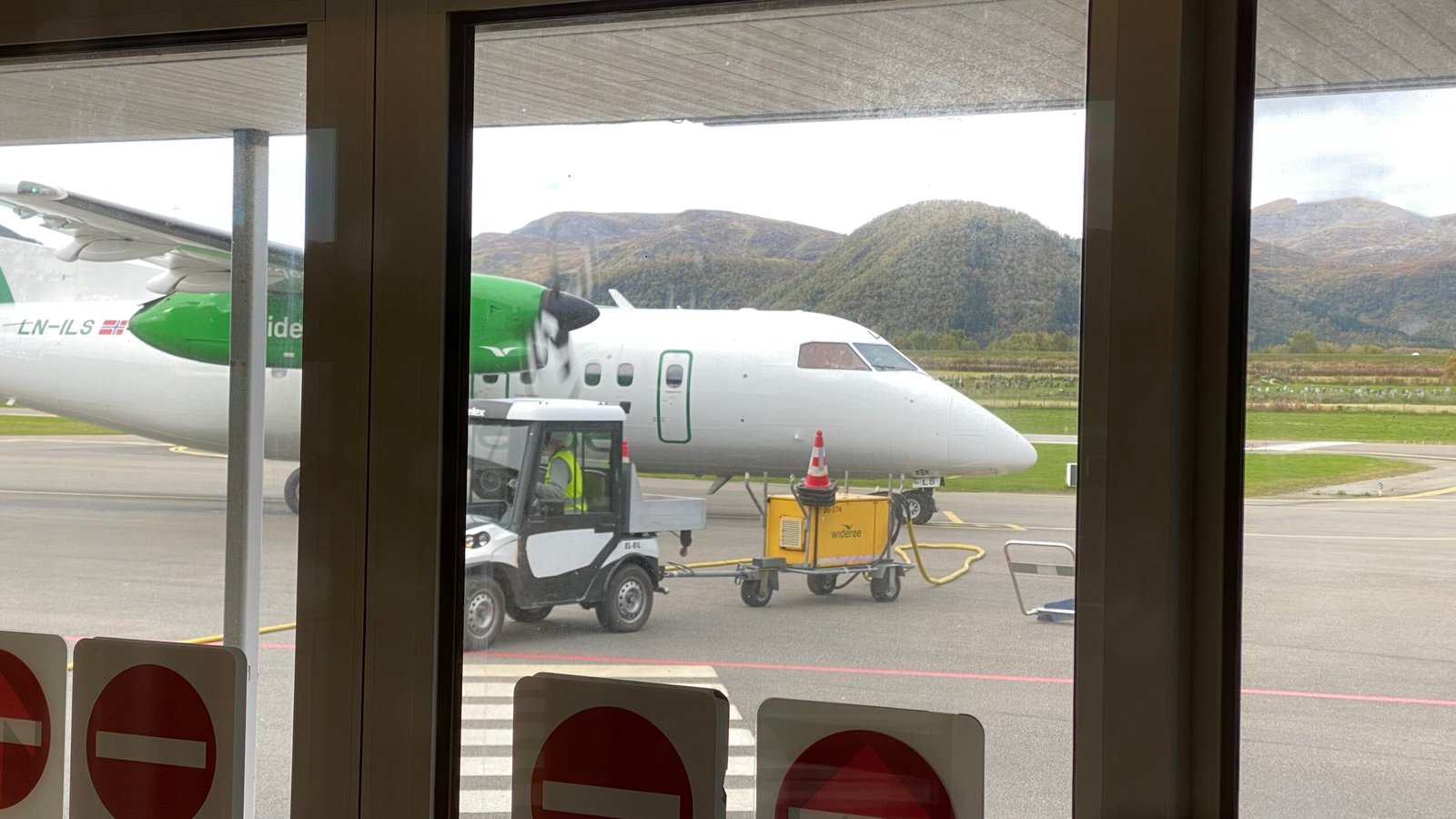 ulv ulveflokk rovdyr