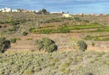 Slik kan EUs nye jordovervåkningslov påvirke norske bønder