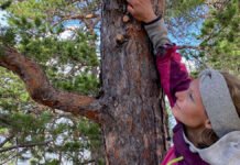 Sosiale medier nøkkel til å bevare naturen