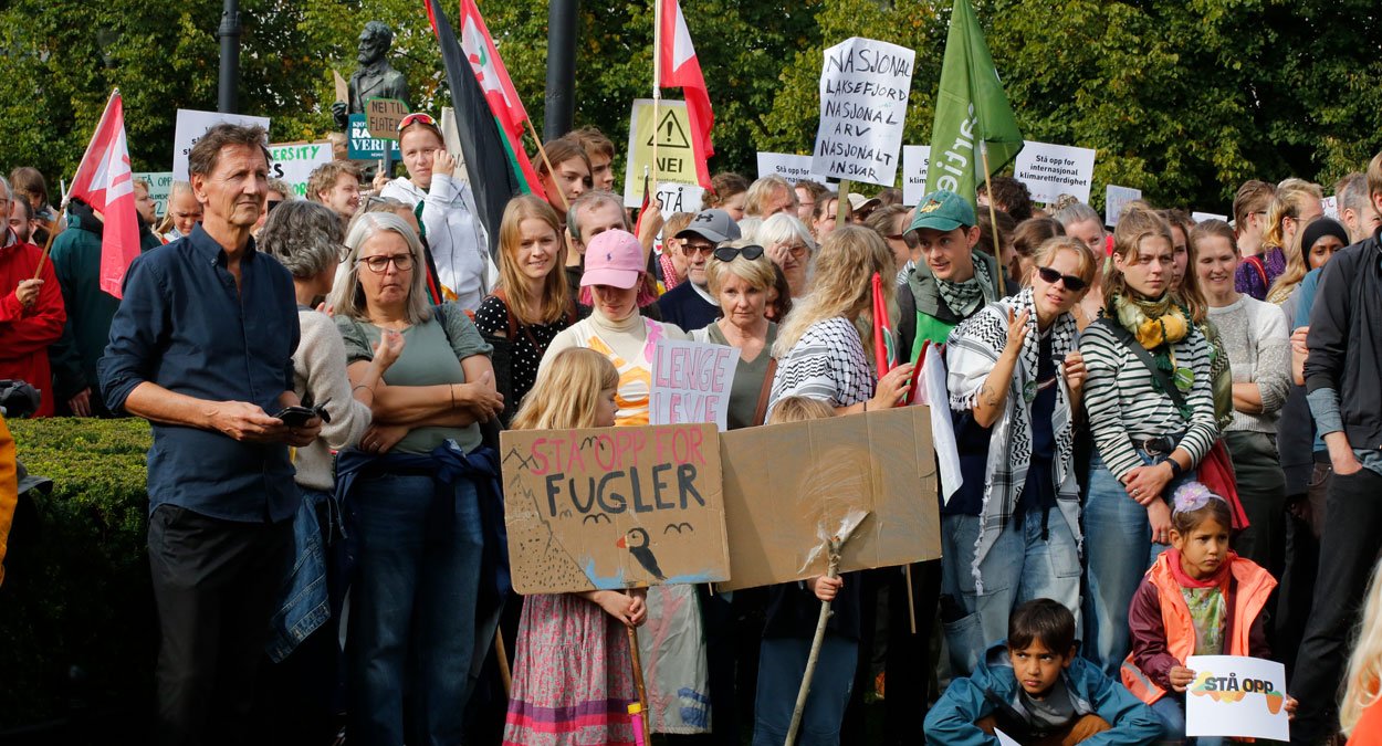 ulv ulveflokk rovdyr