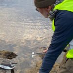 operastranda-lomvi-IMG_2361