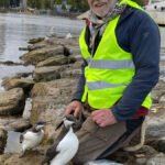 operastranda-lomvi-IMG_2368