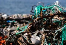 Slik kan din idé stoppe plasten