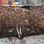 teine-Havforskningsinstituttet-2020-1250