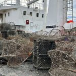 teine-Stine-Hommedal–HI-2022-1250