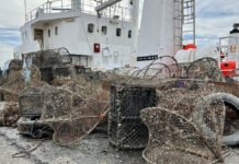 Rapport: Forskere har funnet løsningen på spøkelsesfiske