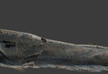 20 år med nøling er nok