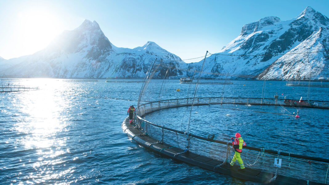 Norgs-sjomatraad-foto-1920