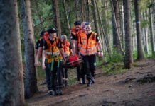 Allemannsretten – dette har du lov til