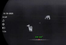 Kunstig nattesyn, ønsker din mening