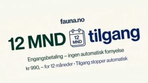 Engangsbetaling for 12 månder uten fornyelse