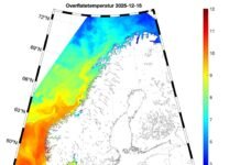 2025 var et uvanlig varmt år langs norskekysten