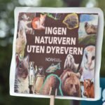 stortinget_demo_aug_2025_S2C9500