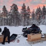 fjellrev-utsett6-nina-foto-1250