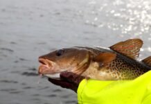 Tåler norsk natur et nytt «oppdrettseventyr»?