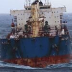 18044398184750189_fauna.no_