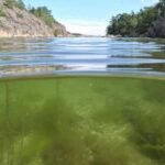 18061880894676200_fauna.no_