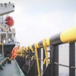 18095762084054343_fauna.no_