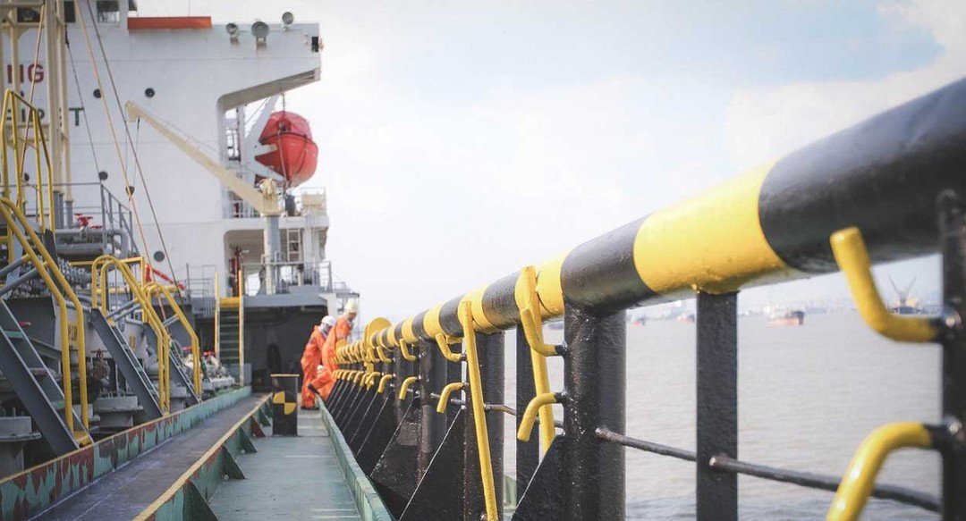 ulv ulveflokk rovdyr