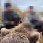 18183203950373409_fauna.no_