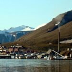 18314689498250914_fauna.no_