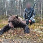 18568753624012241_fauna.no_