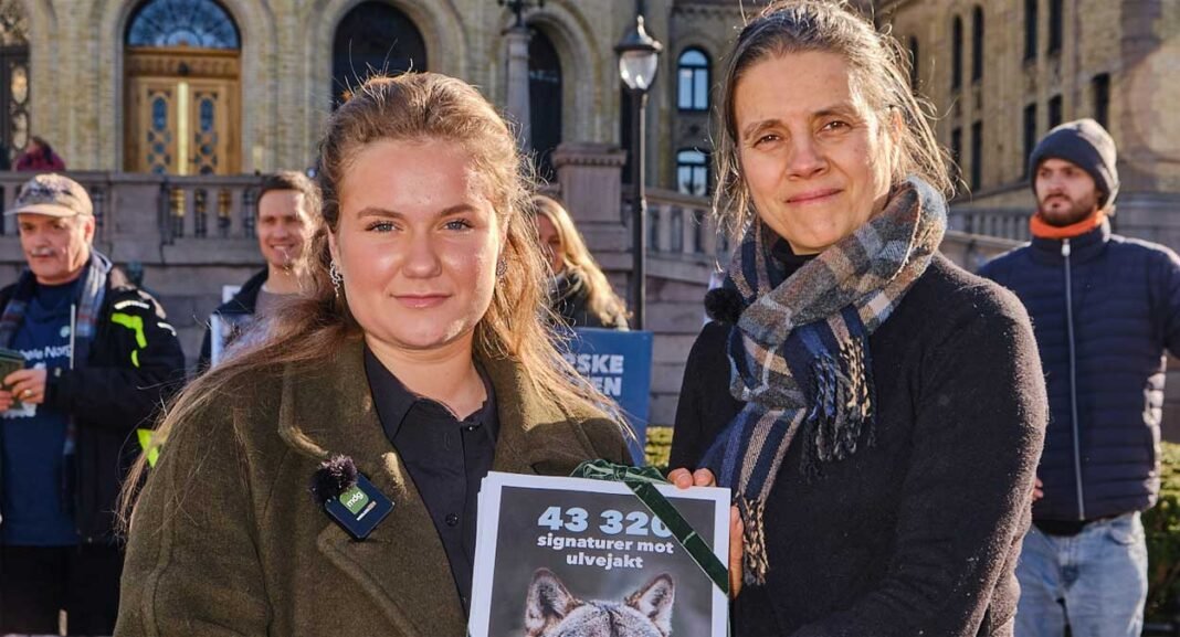 froya-skjold-sjurseter-noah-1250