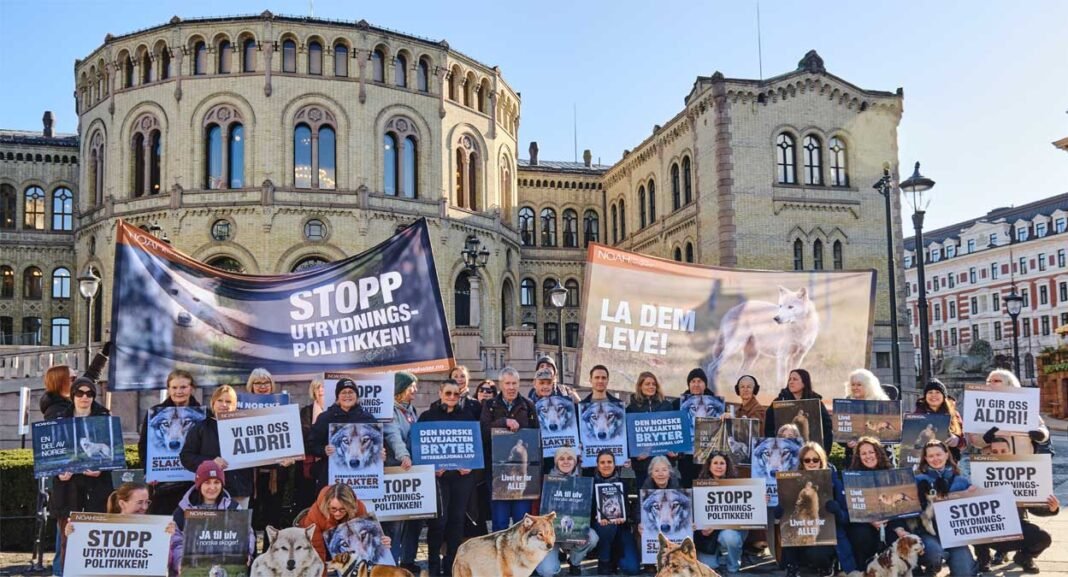 overlevering-underskifter-noah-3.3.26-1250