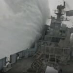 17859231513579972_fauna.no_