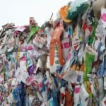 18097012120844829_fauna.no_