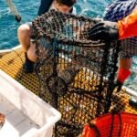 18118144348729902_fauna.no_